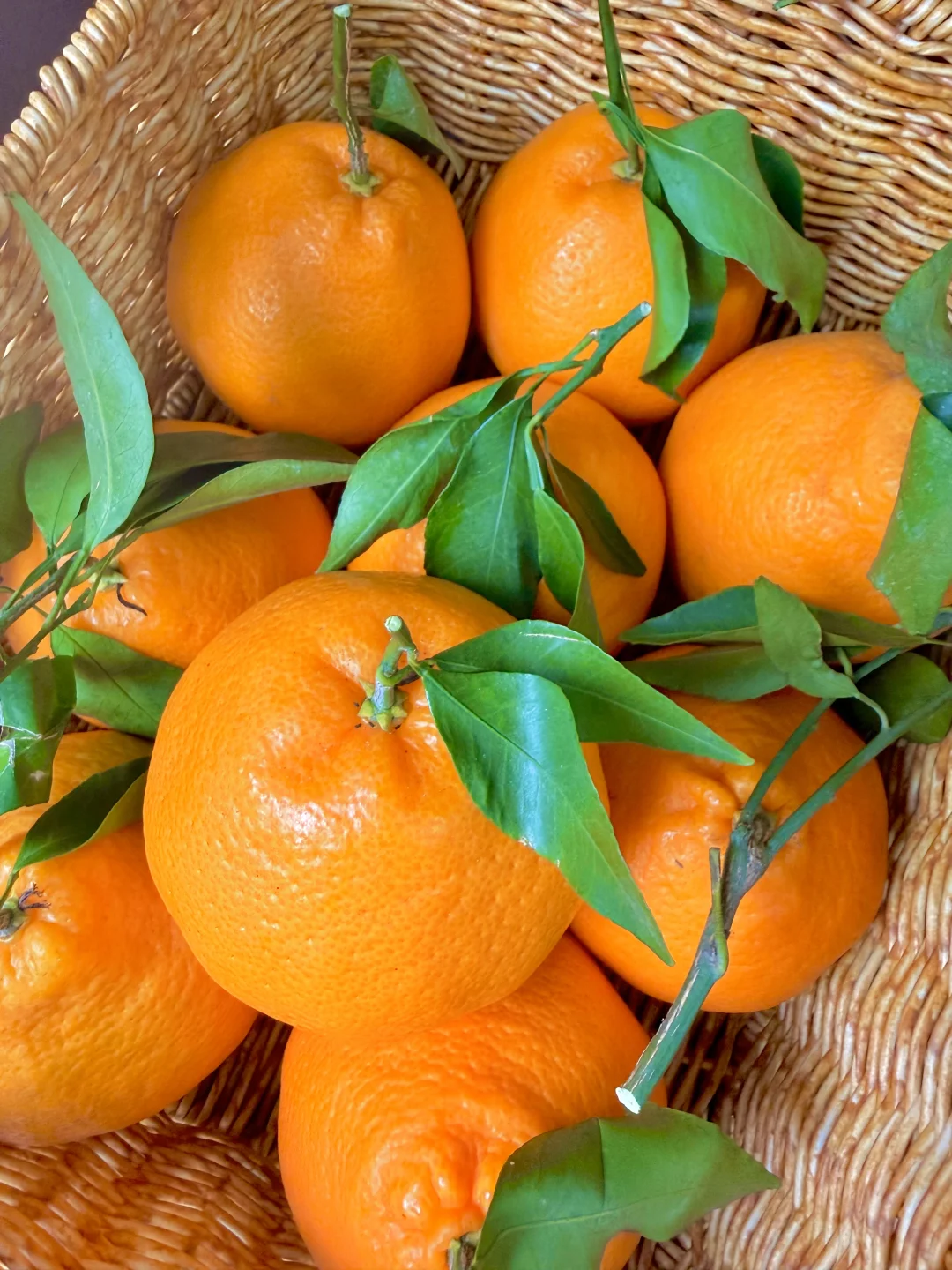 一直在追问的春见耙耙柑上架啦！福利拉满！