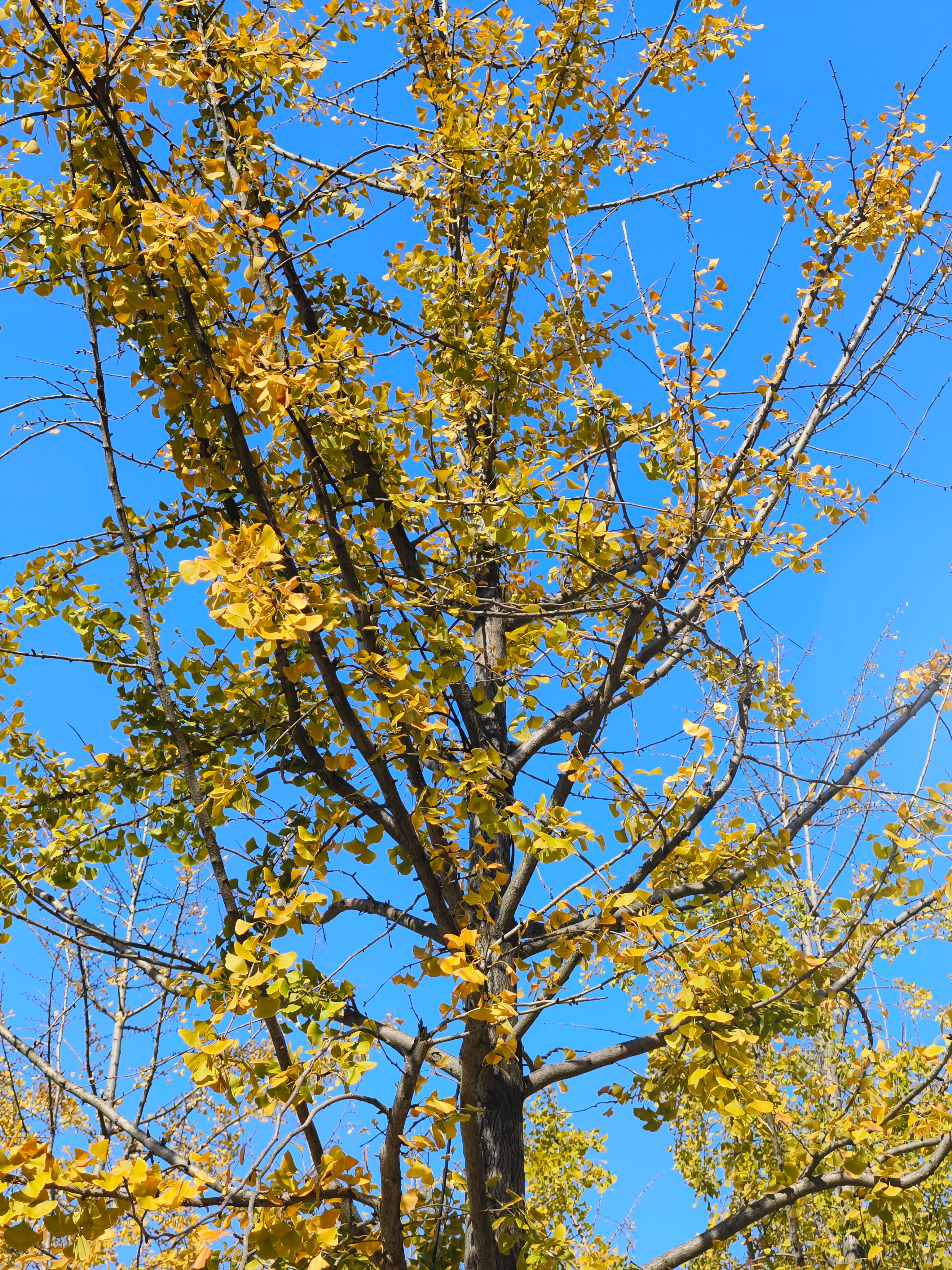 降温了，今天有点冷。 