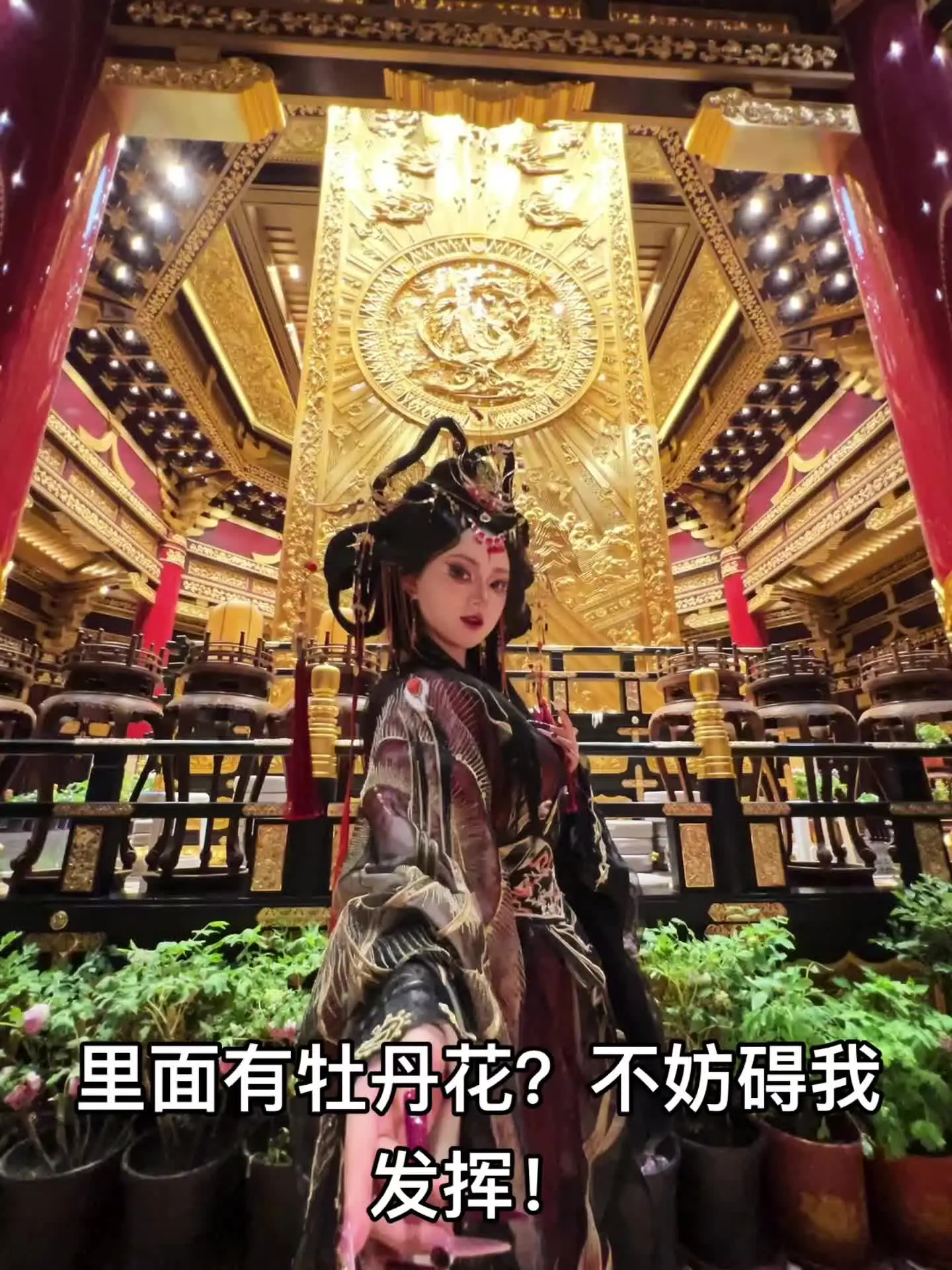 睥睨天下