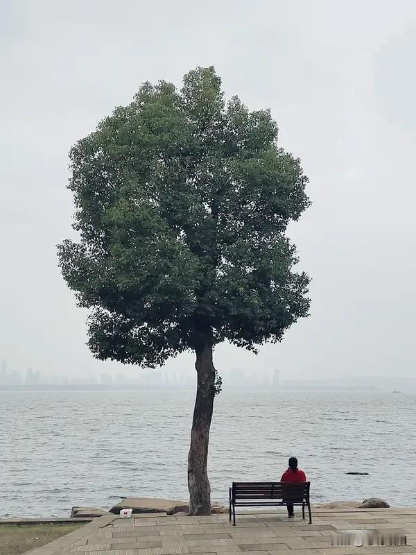 一个人的孤独,到底要怎么度过?人这一生，难免会遇见无人陪伴、心事无人诉说的时刻。