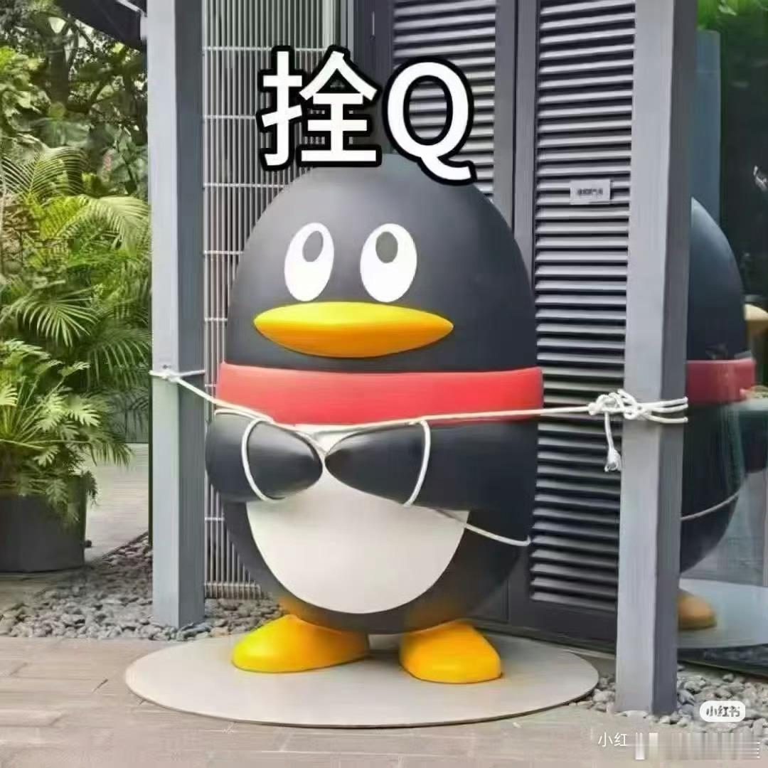 桦加沙Q呢…… ​​​