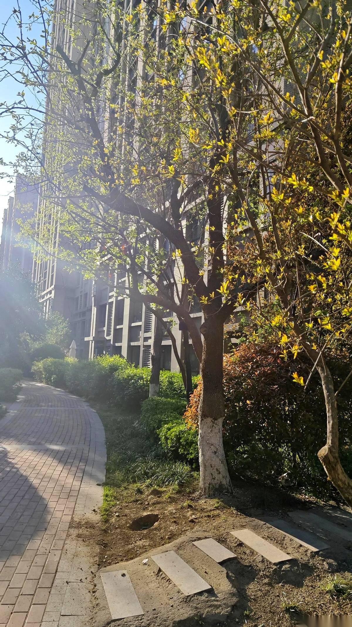 身家几千万的老板，喝多了把头埋进臂弯里，哭得像个孩子。
他拉着我的袖口，声音都在