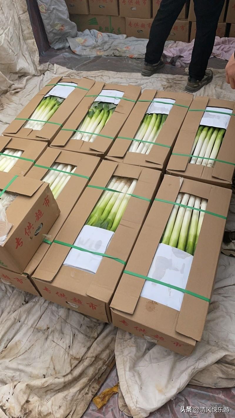 一个人干电商要怎么开始？
这个真不是说开个店，上几个链接就能坐等出单的。好多新手