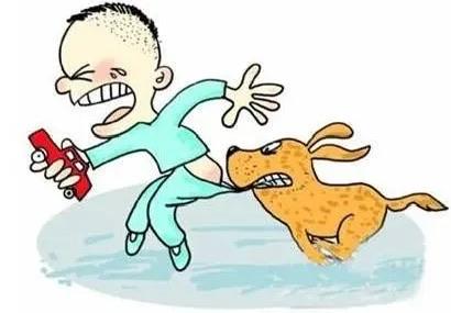 “这次养狗的后悔了！”就因为家里养的狗“吃醋”，才三个月大的宝宝，硬生生遭了半条
