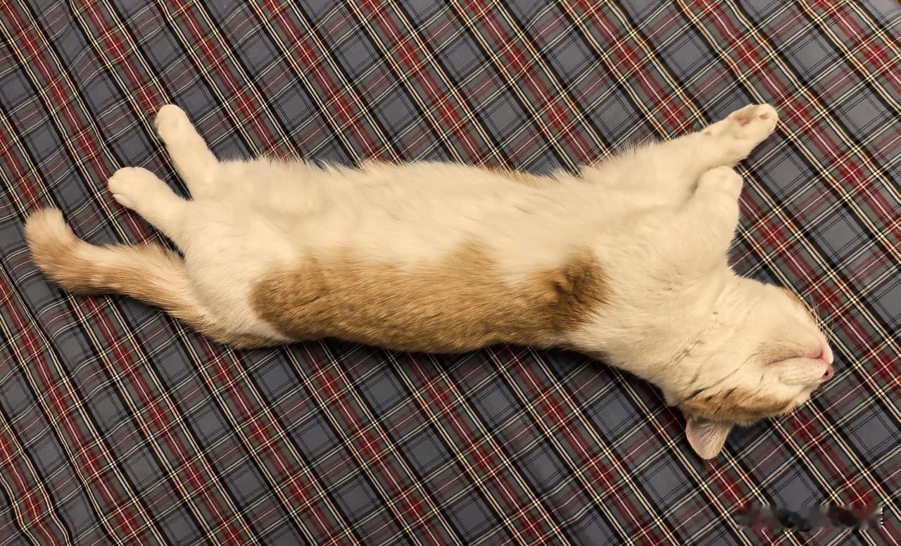 俄财政部新规够狠够准：拉家带口的移民必须有能力养活家人
 
俄财政部敲定新规修正