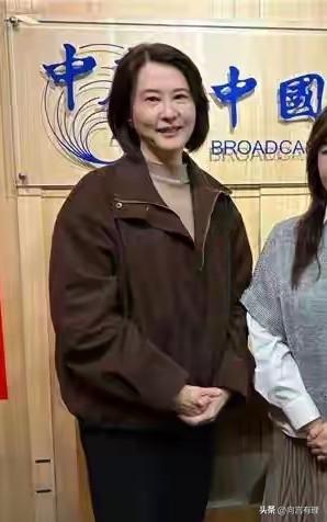 王鸿薇质疑“中国台湾”，忘了自己叫“中国国民党”？

国民党籍“立委”王鸿薇最近