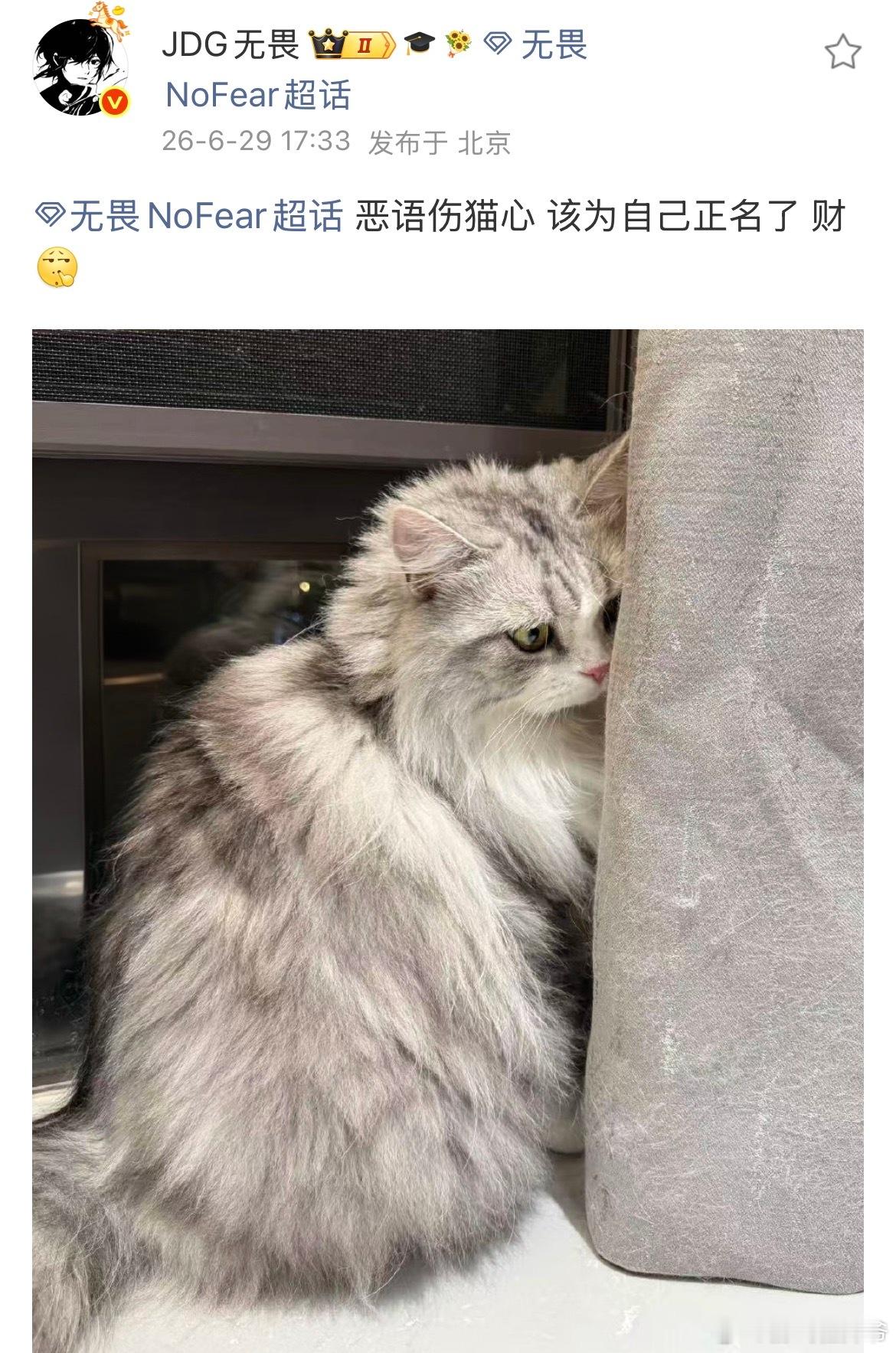 无畏为自己的猫正名了财：你不要再说了，我Duang大一只还不是你先说的，哼，不要