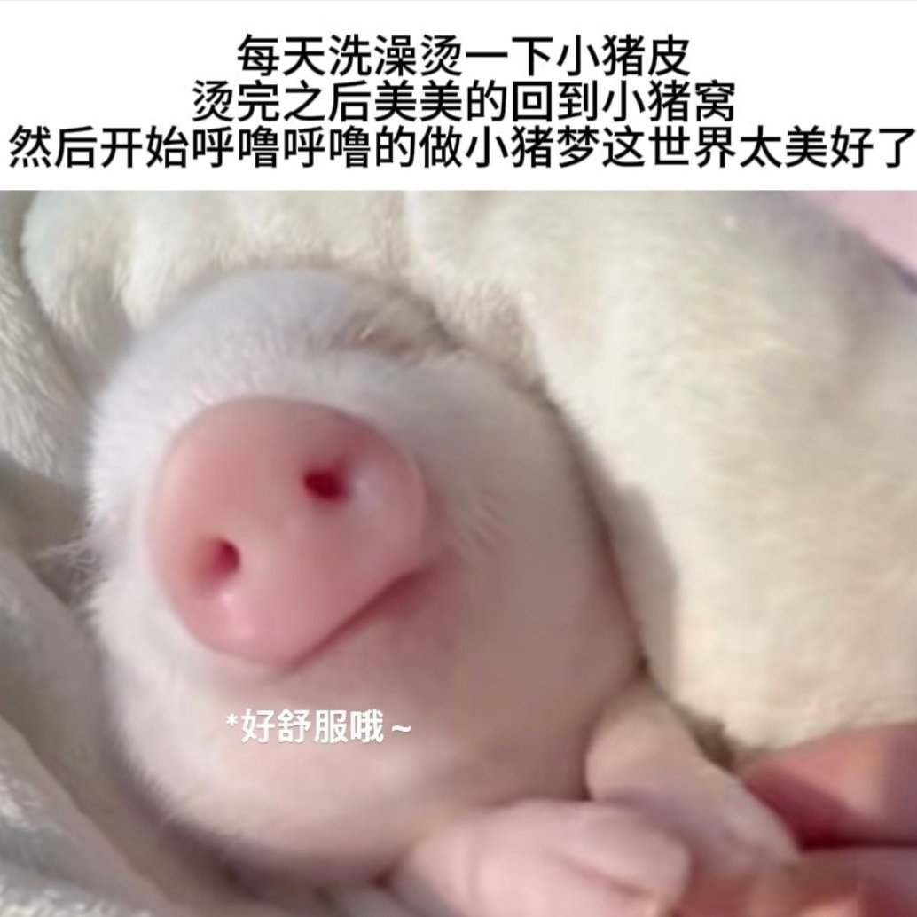 mrys和互动都明天再回晚安 ​​​