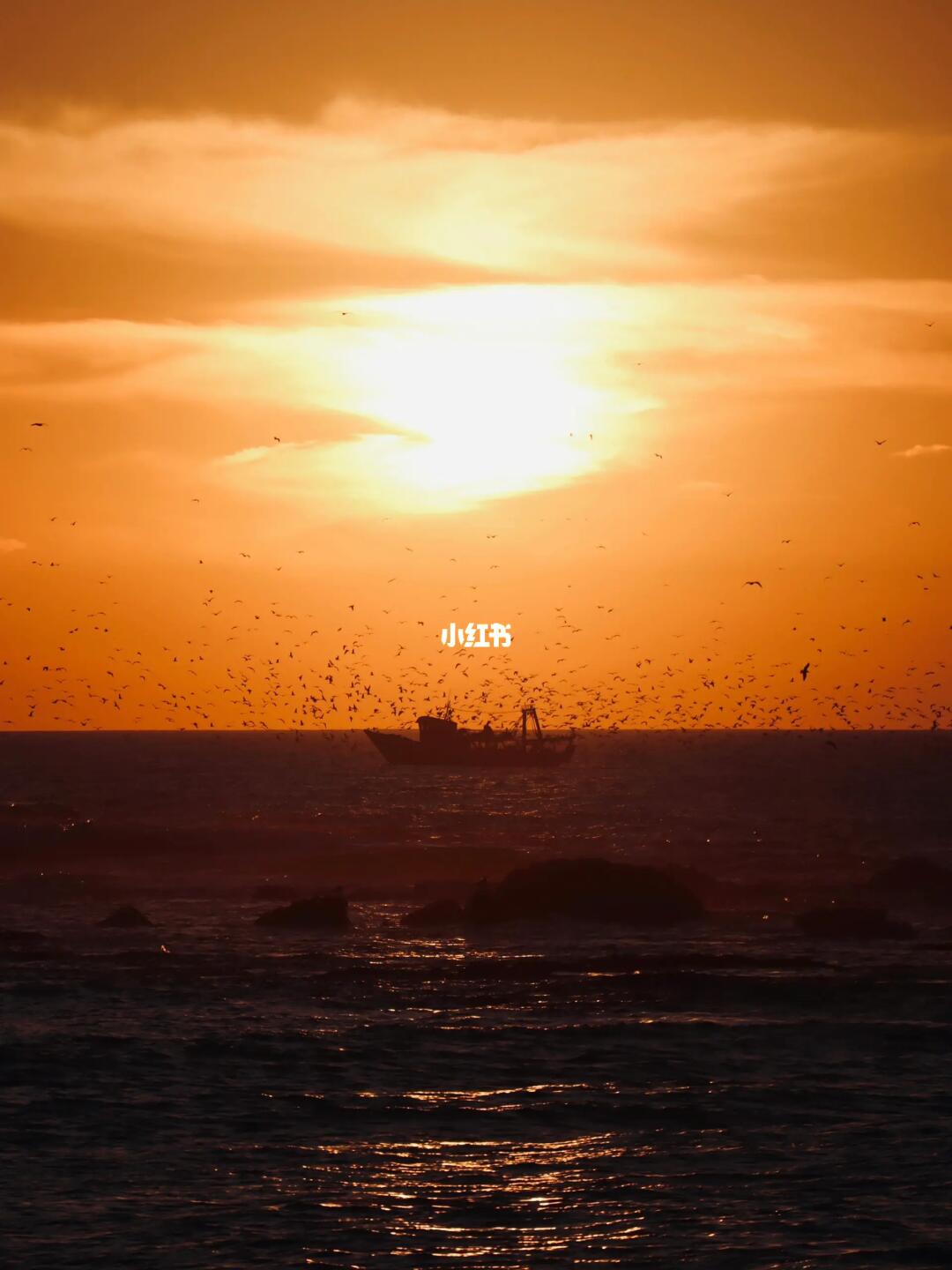 看看不加tag会推给哪些MBTI