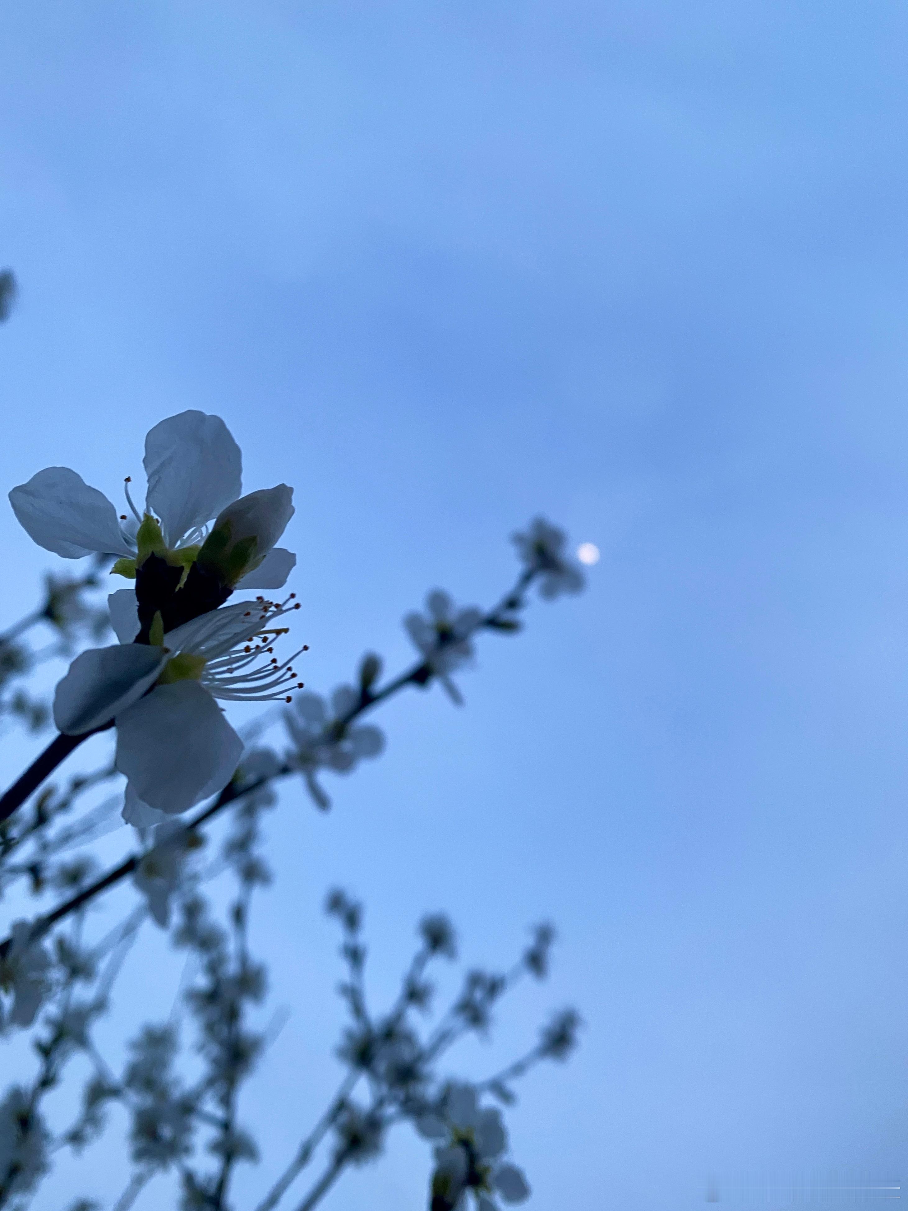 #睡眠真的超级重要#我们的一切，都受睡眠的影响。无论日间的精神反应、学习工作能力