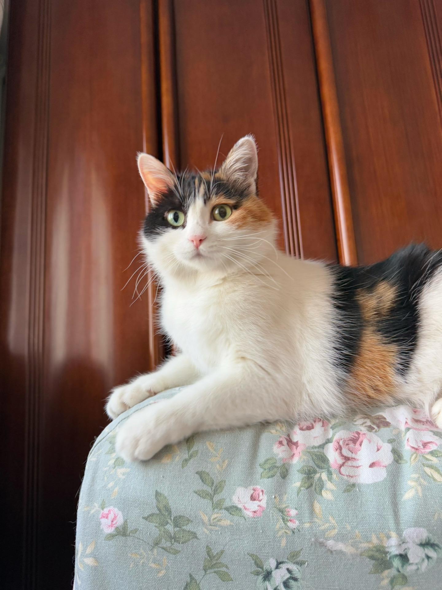 奔十的美女 保养的不错。