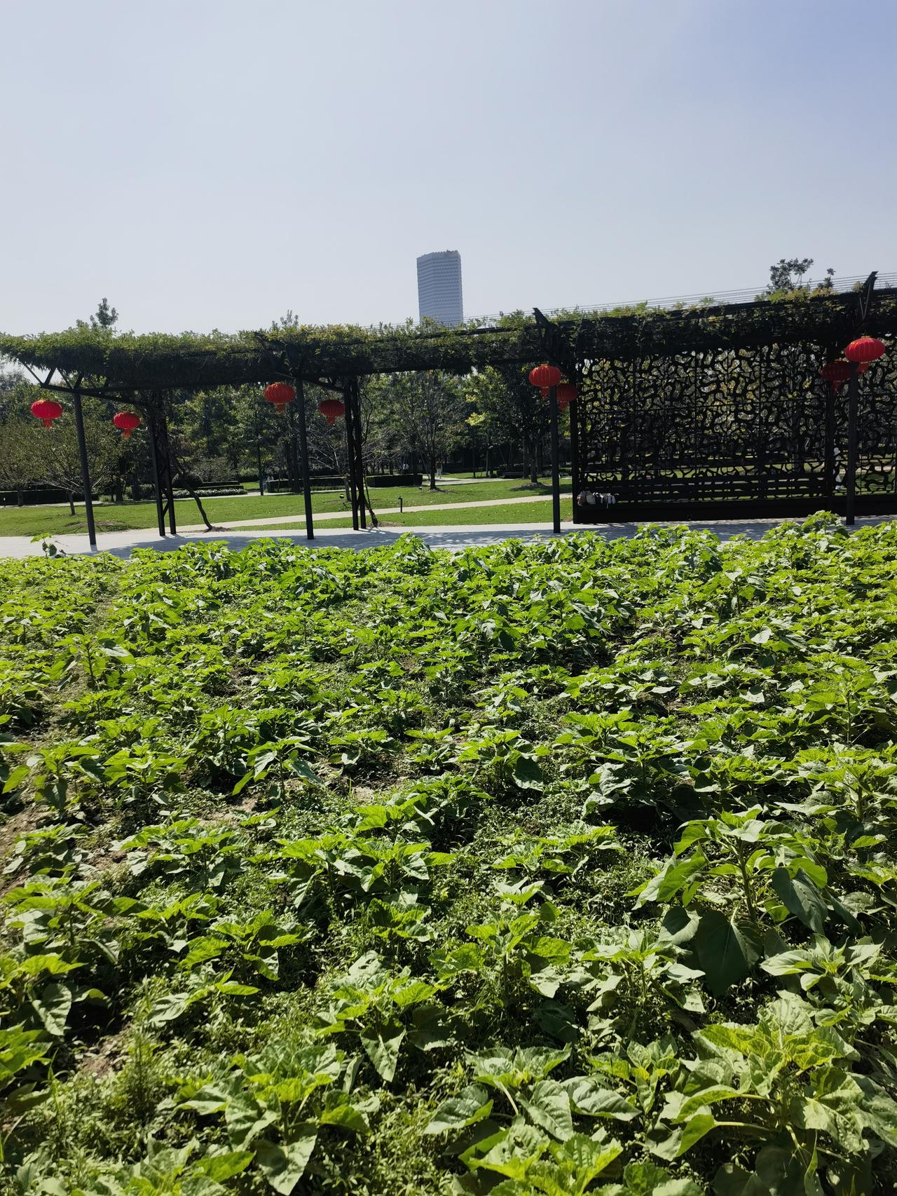 家庭年收入接近十万属于什么水平这个要看农村还是城市了，如果是农村，家庭年收入十万