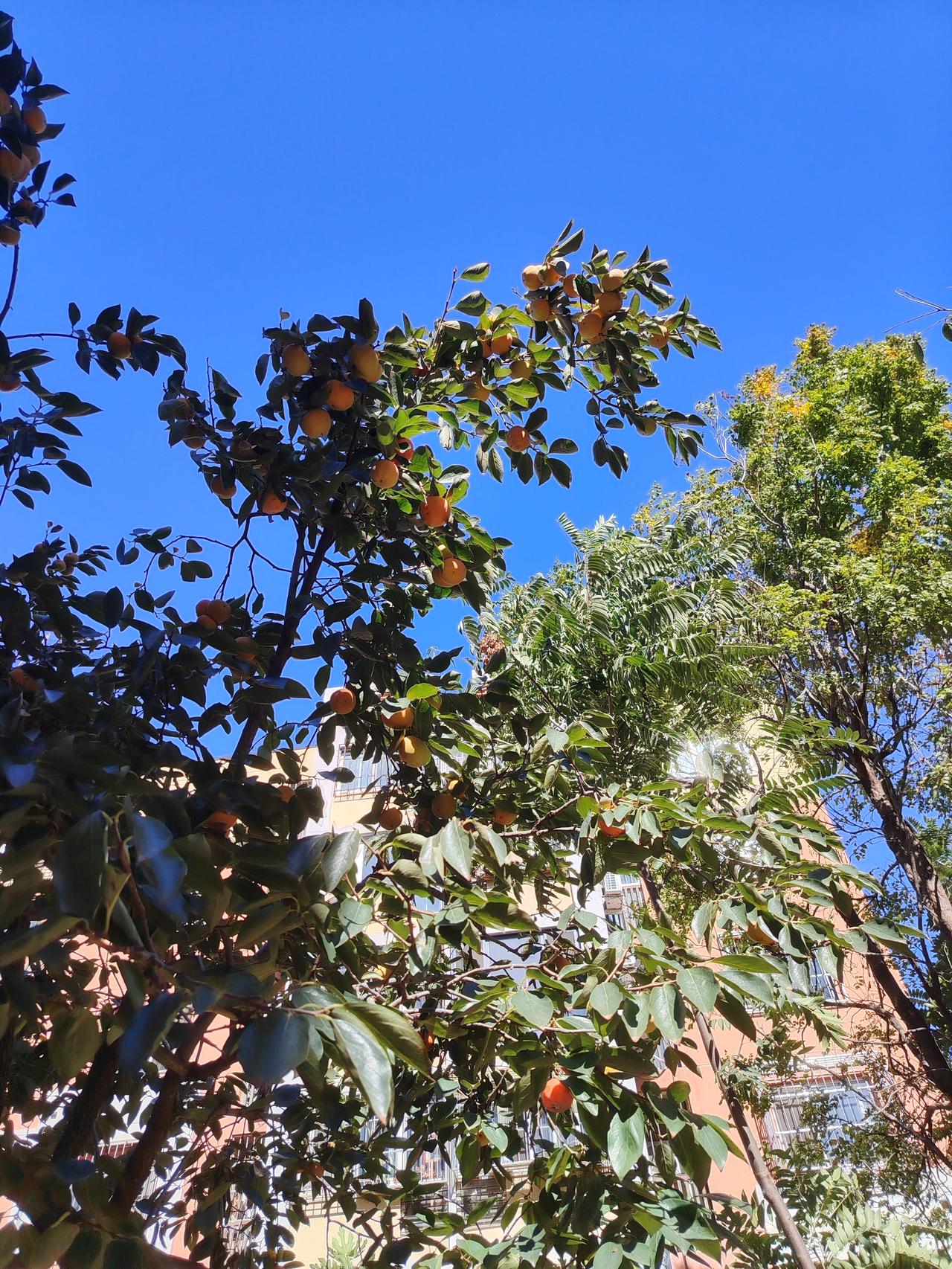 晒图笔记大赛澄澈见心：秋高气爽，是时光给心灵腾出的天空。珍惜此刻的澄澈，善待过往
