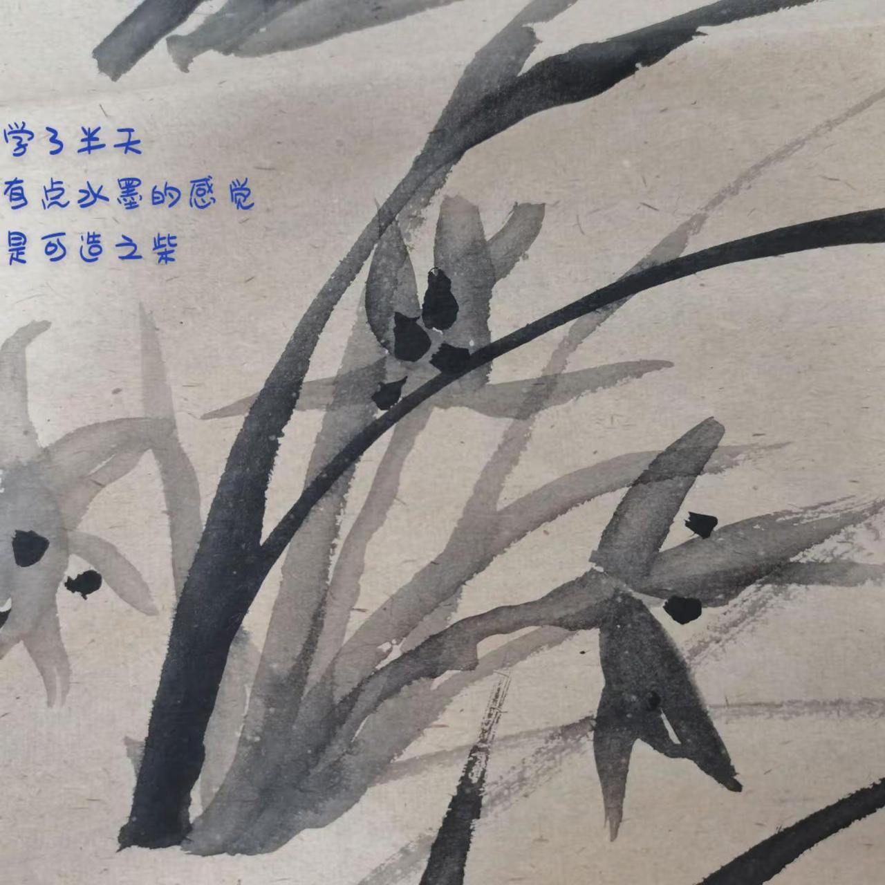 学习半天，有了水墨的味道。再接再厉，继续加油，也许在70岁以前能有点成就。国画 