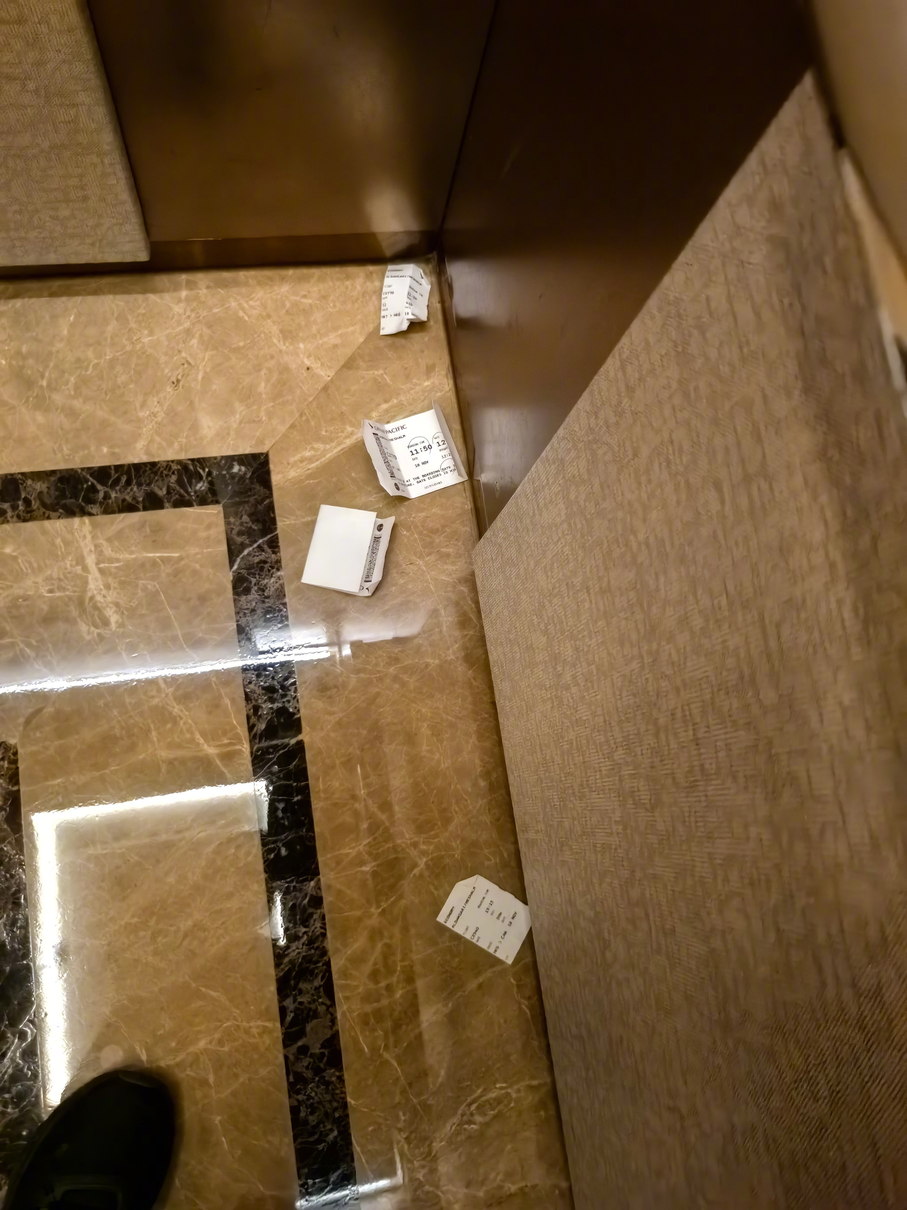 下楼吃早餐，在电梯里发现垃圾，显然是有人随手扔的，这样低素质的人不多见了。我捡了