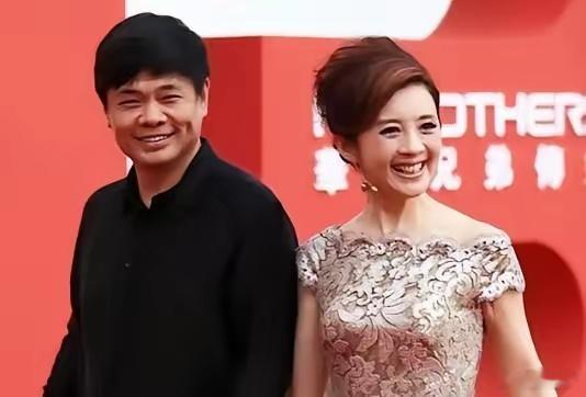 2004年，已婚富商丁健出轨美女主持许戈辉，随后向刚生完孩子的妻子肖烨坦白并提出