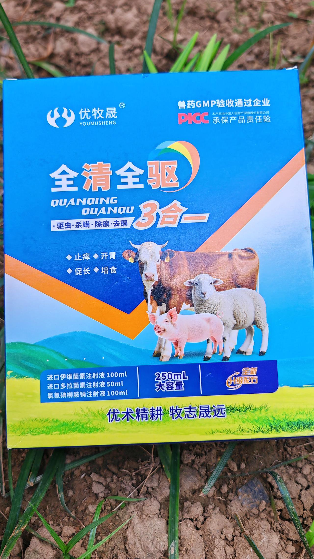 养羊人 农村养羊 牛羊养殖