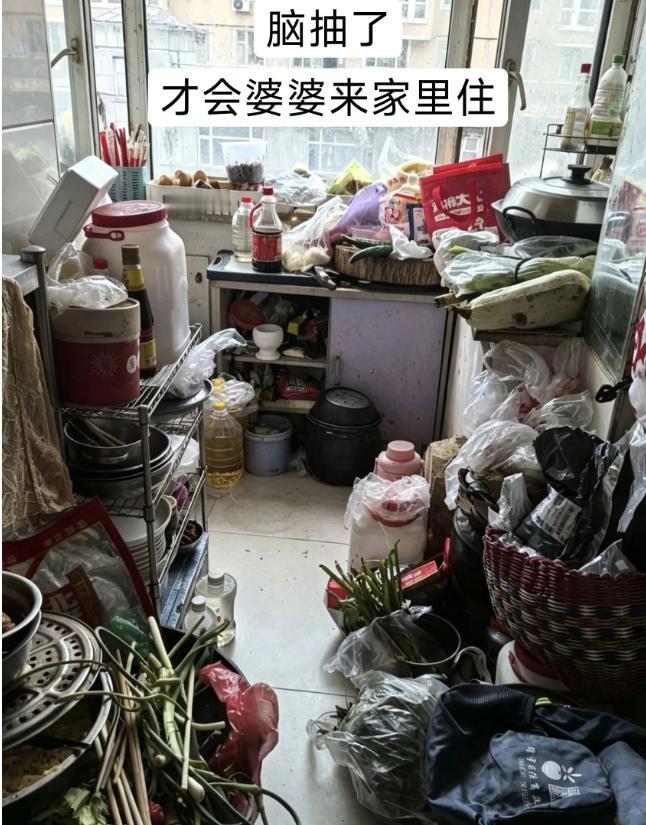公婆出了10万首付，儿媳感恩接来同住，三年后新房成了废品站
那天下午去邻居家借螺
