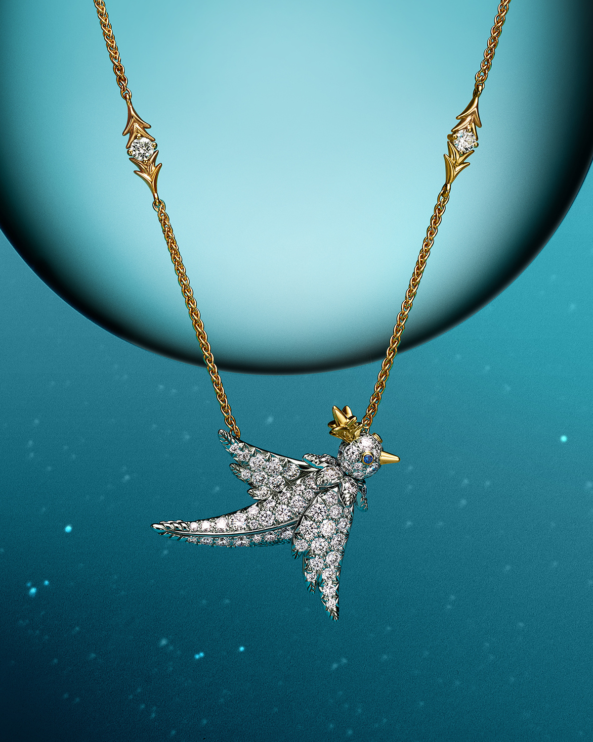 一些 Tiffany 美丽分享✨蒂芙尼2025节日季新品鉴赏💎🩵 