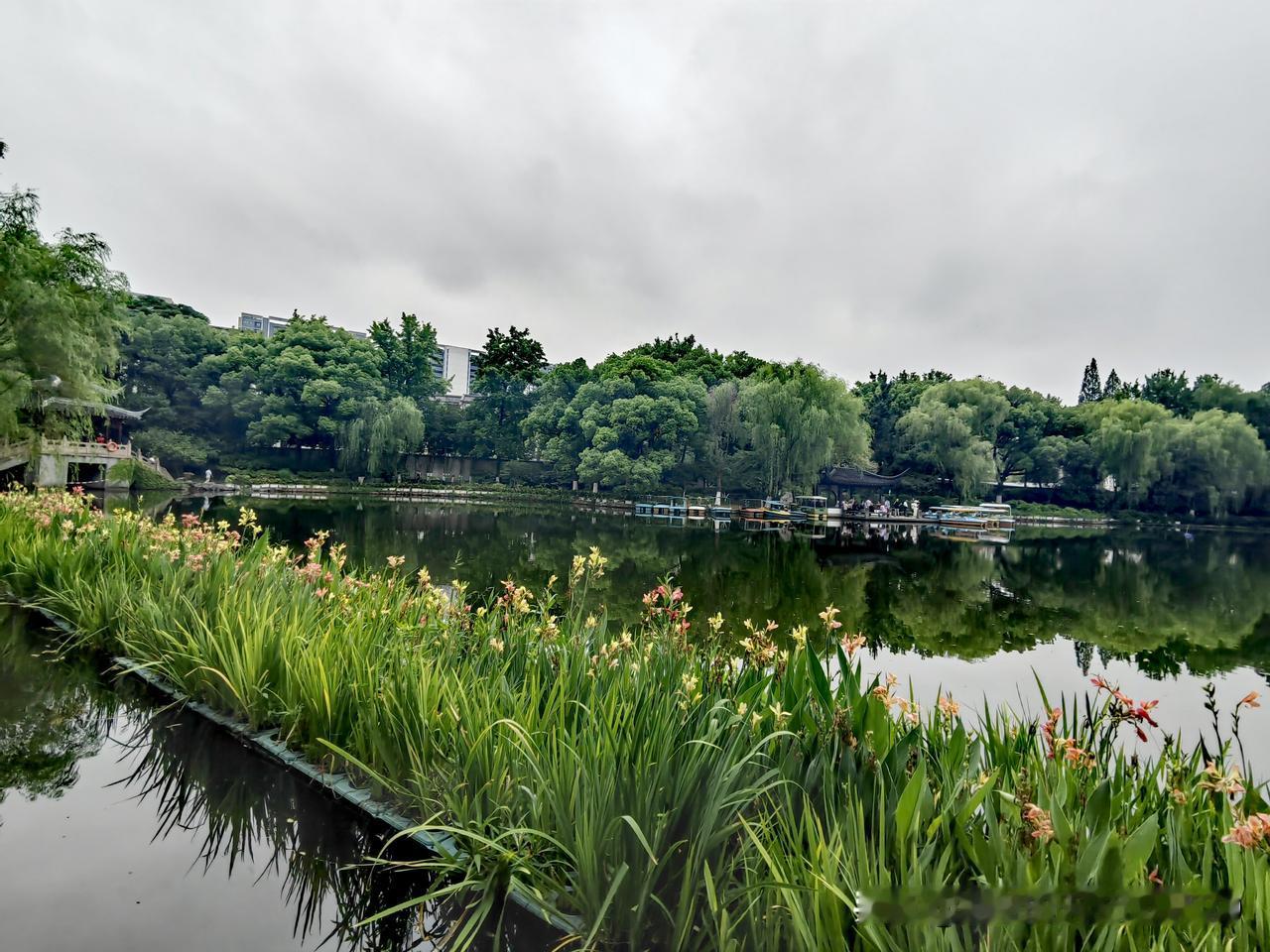 雨后的靜谧湖畔，绿意盎然，花影摇曳。