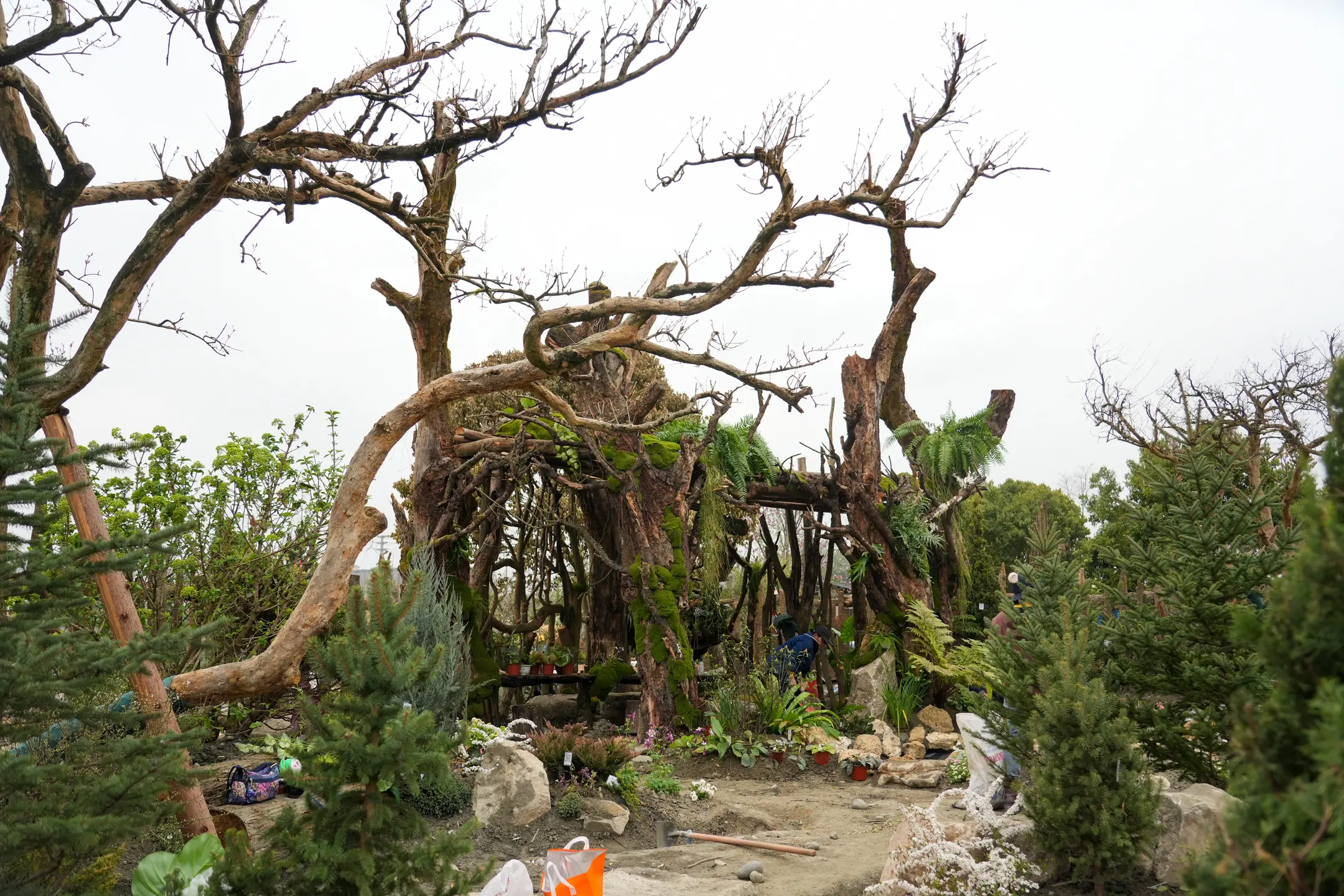 199.7亩新花园，早鸟票9.9元开抢！。在紧张的100天工期中，一座...