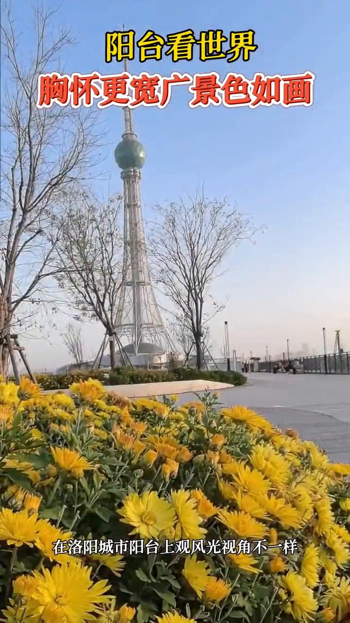 阳台看世界，胸怀更宽广，景色如画。
在洛阳城市阳台上观风光视角不一样。
