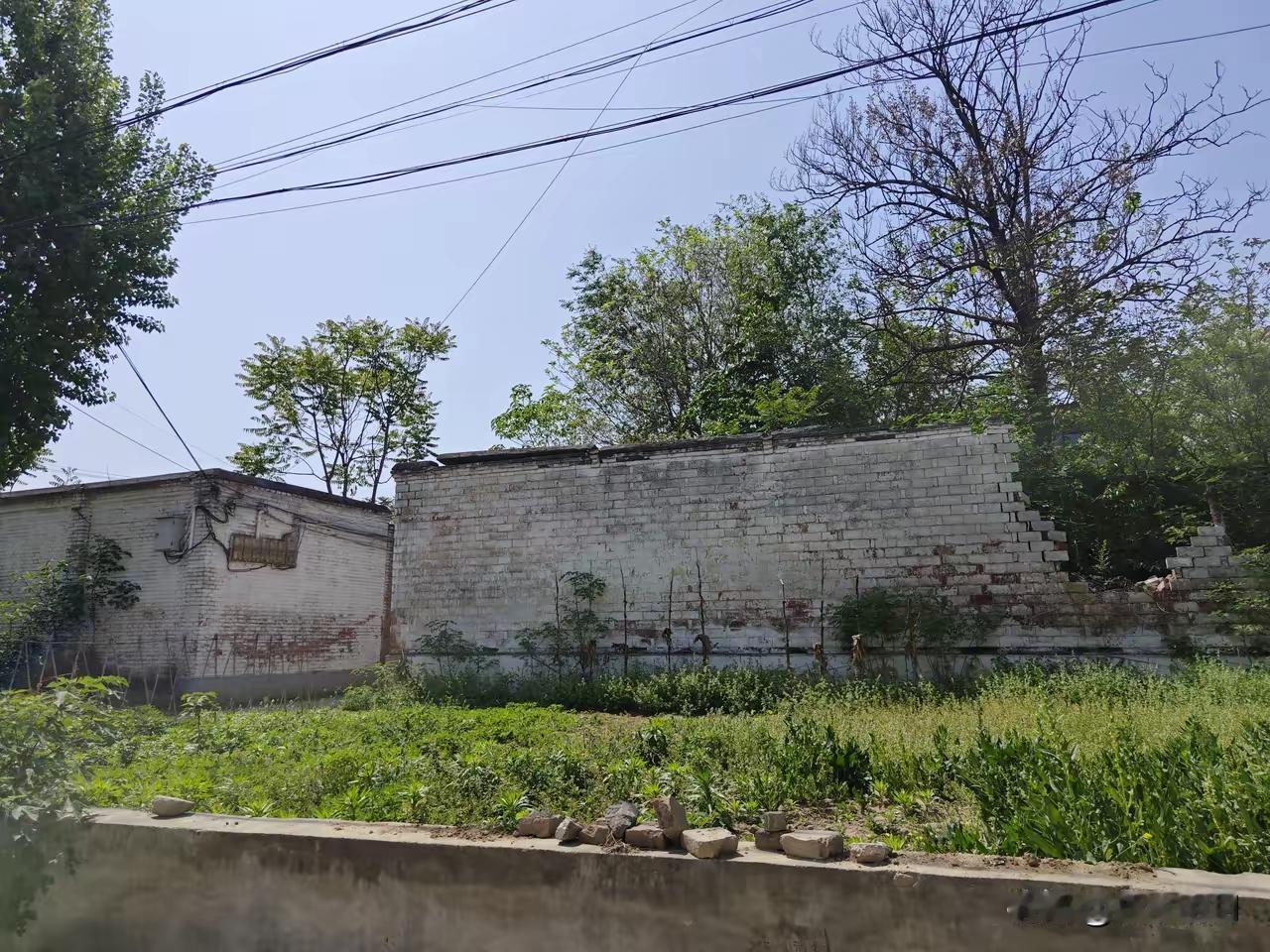 晕！我妈的亲家母——我嫂子的妈，老人77岁，驾鹤西去！我转给我嫂800礼金，谁知