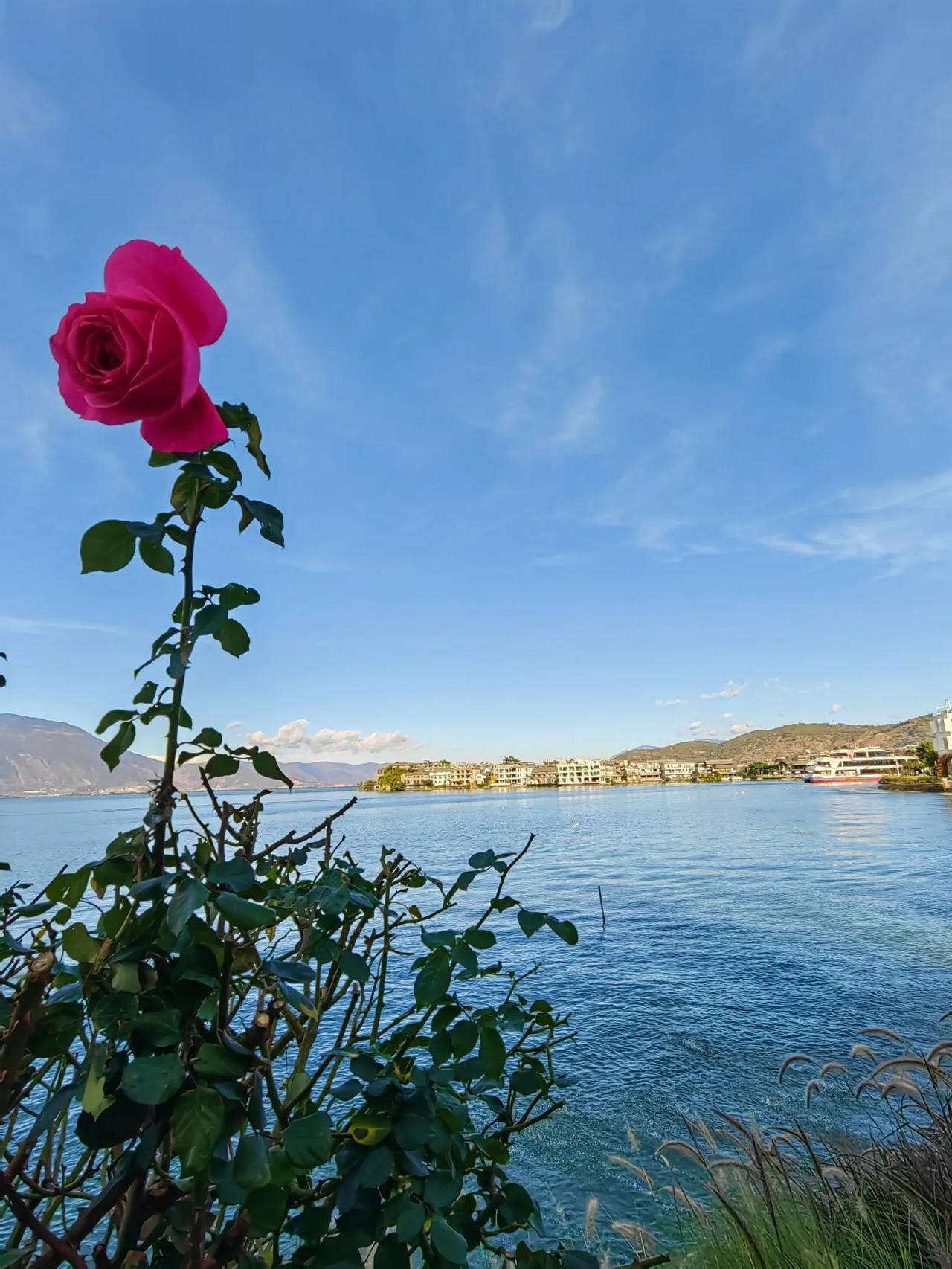 分享一张随手拍很好看的照片