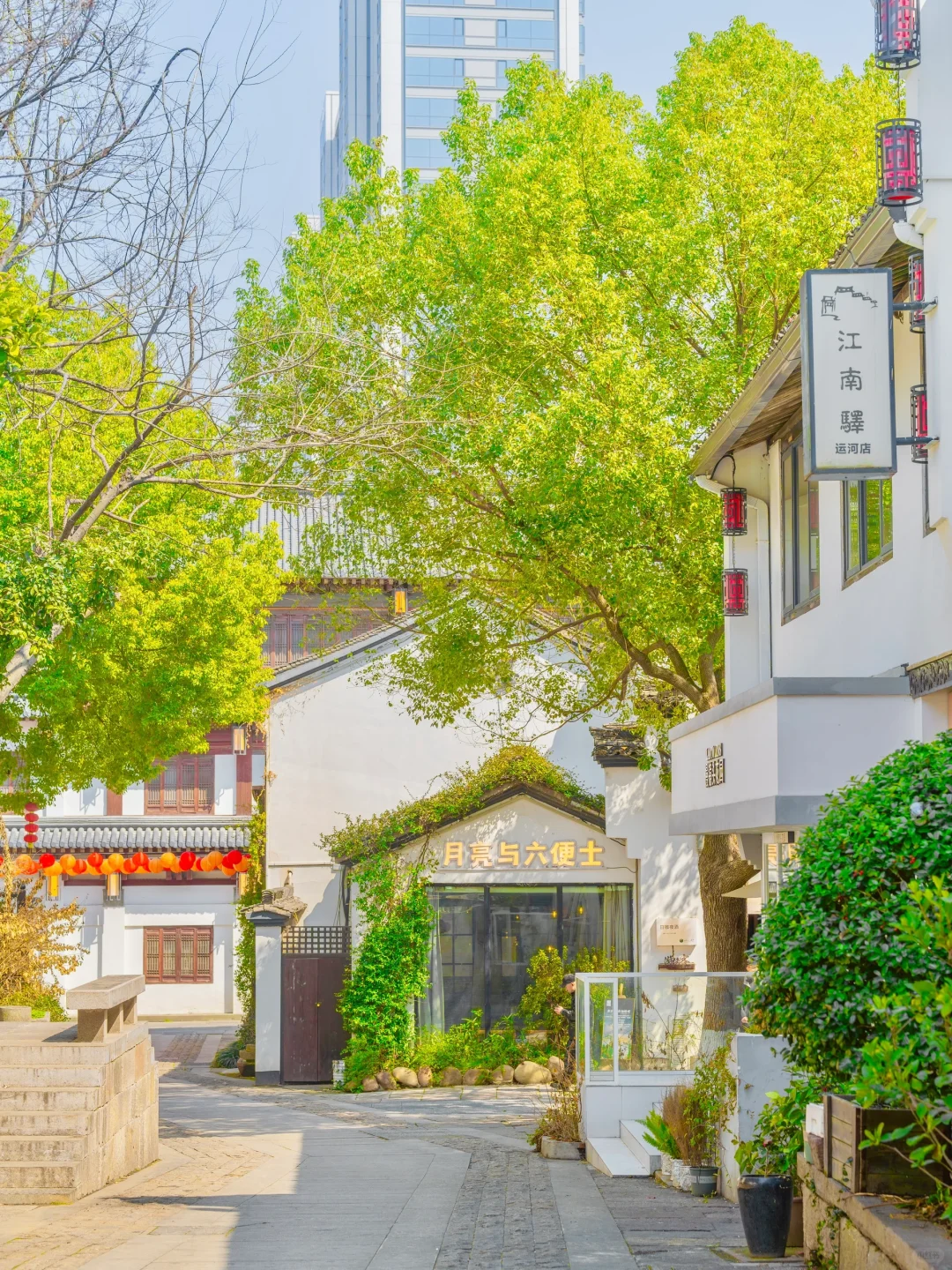 我宣布❗️这是杭州最适合春天的Citywalk路线