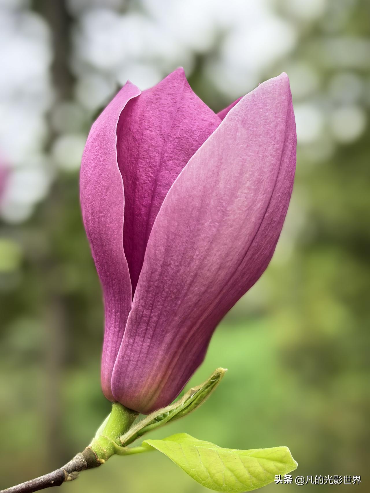 骏马启程得现金我正在参加骏马启程分50万春节活动。完成任务使骏马加速，累计里程越