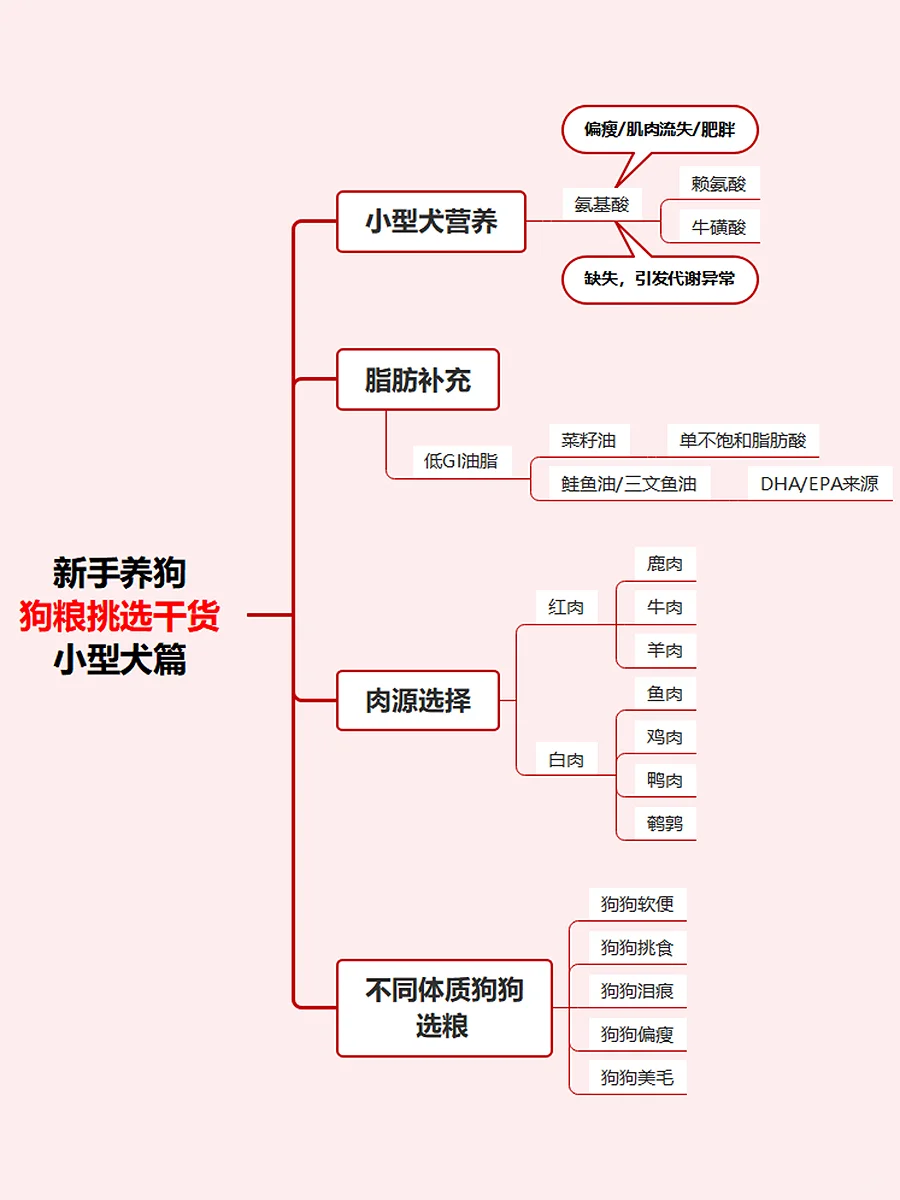 小型犬狗粮挑选干货！全篇整理