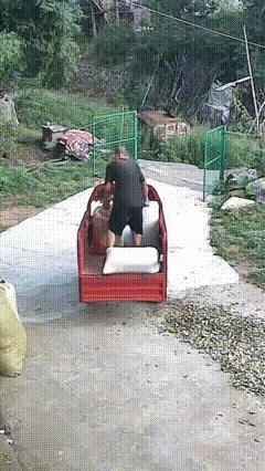誓与爱车共存亡……