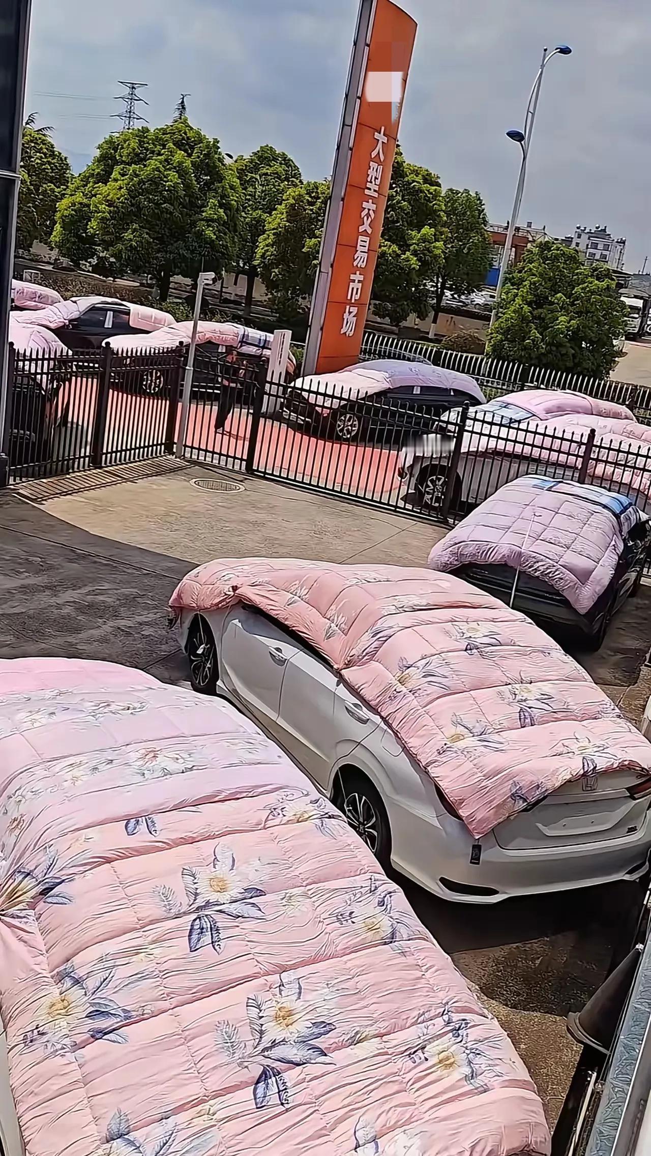 不懂就问，车上为啥都盖条被子？