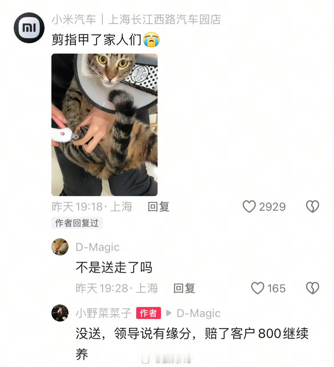 做一个有温度的小米人，小米汽车的工作人员确实没得说，前几天有收养流浪猫的，现在又