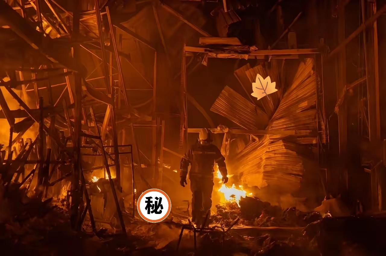 8月12日，俄罗斯多个信息源显示：经过俄军夜间多轮空袭，扎波罗热钢铁厂现已近乎彻
