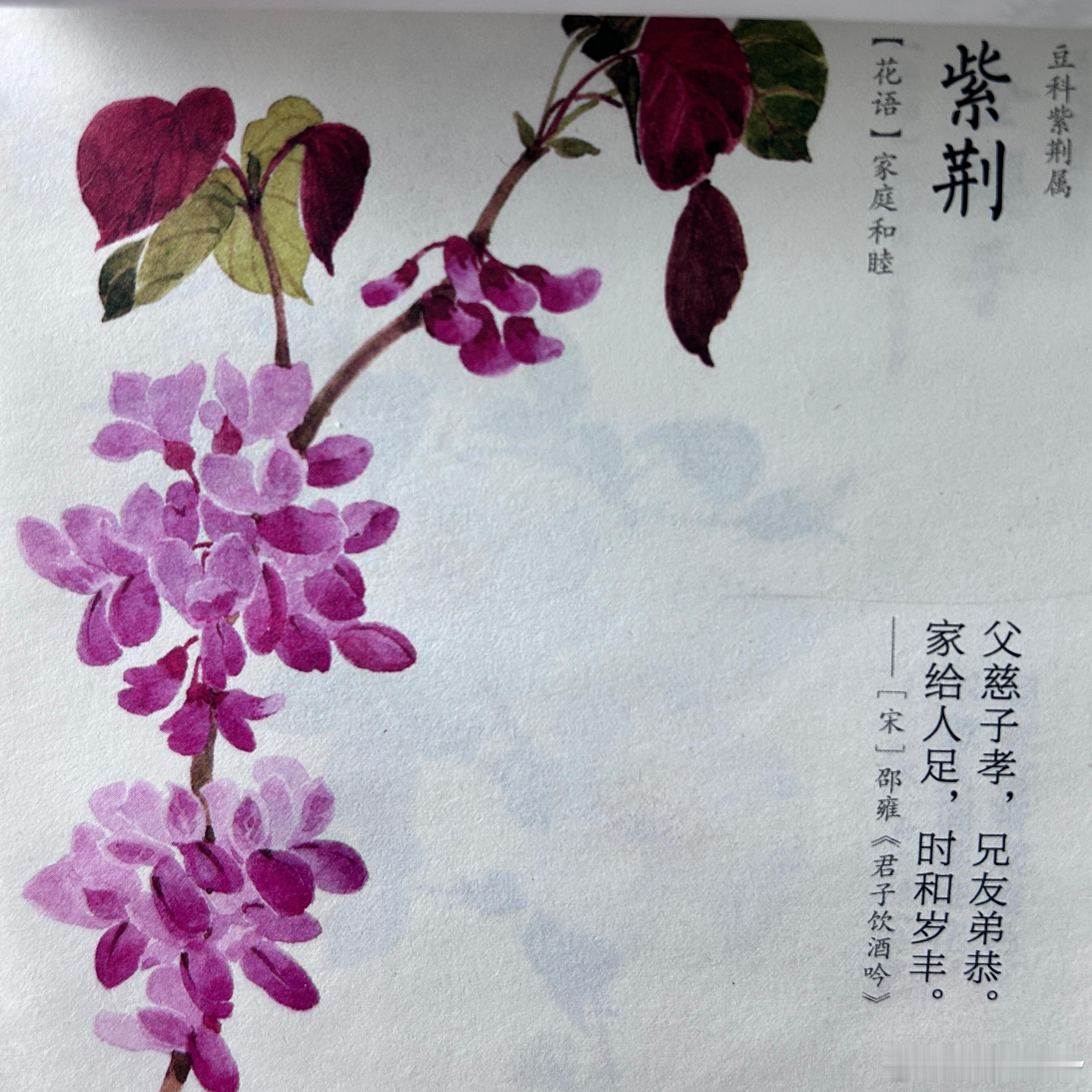 我弟说找了个房子，房屋2000元/月，水电另计。我说你一个人住太贵了吧，他眼神里