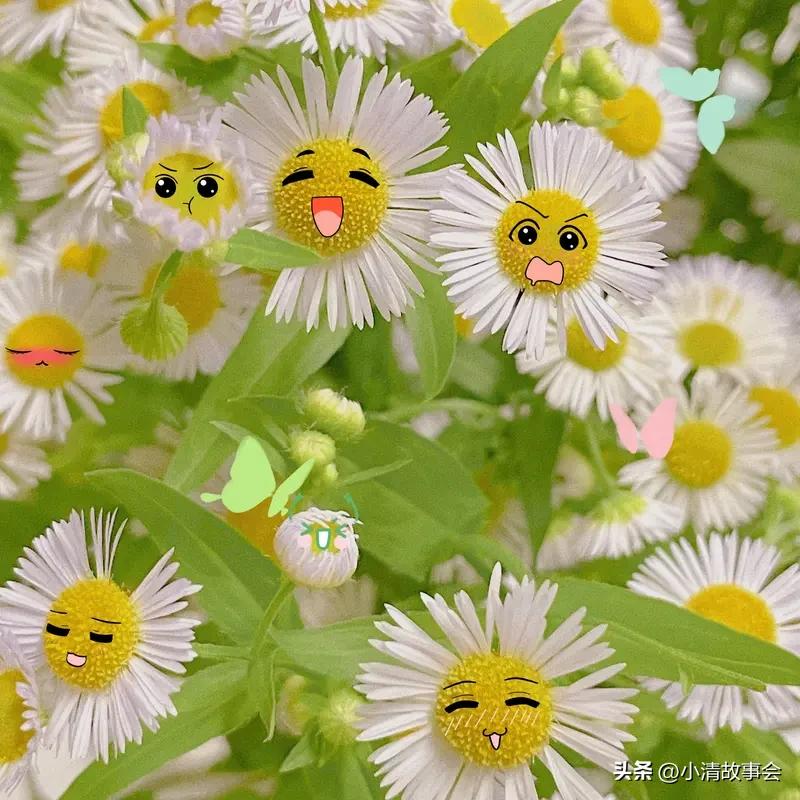 想保持快乐的心情，不妨学学知足常乐。生活上别追求过高标准，降低心理压力，像人到中