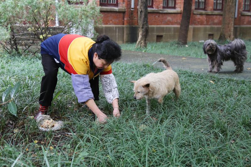 最近刷到一个超暖心的视频，讲的是安徽马鞍山82岁退休语文老师章小秋的故事。她有3
