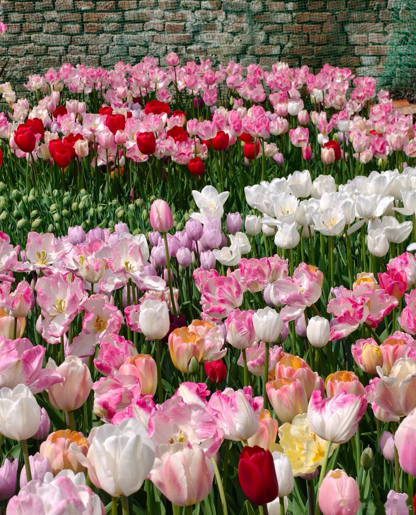 藏在文字里的人生至理我的私人宝藏书单书评 桥的那头是青丝，桥的这头是白发上个月回