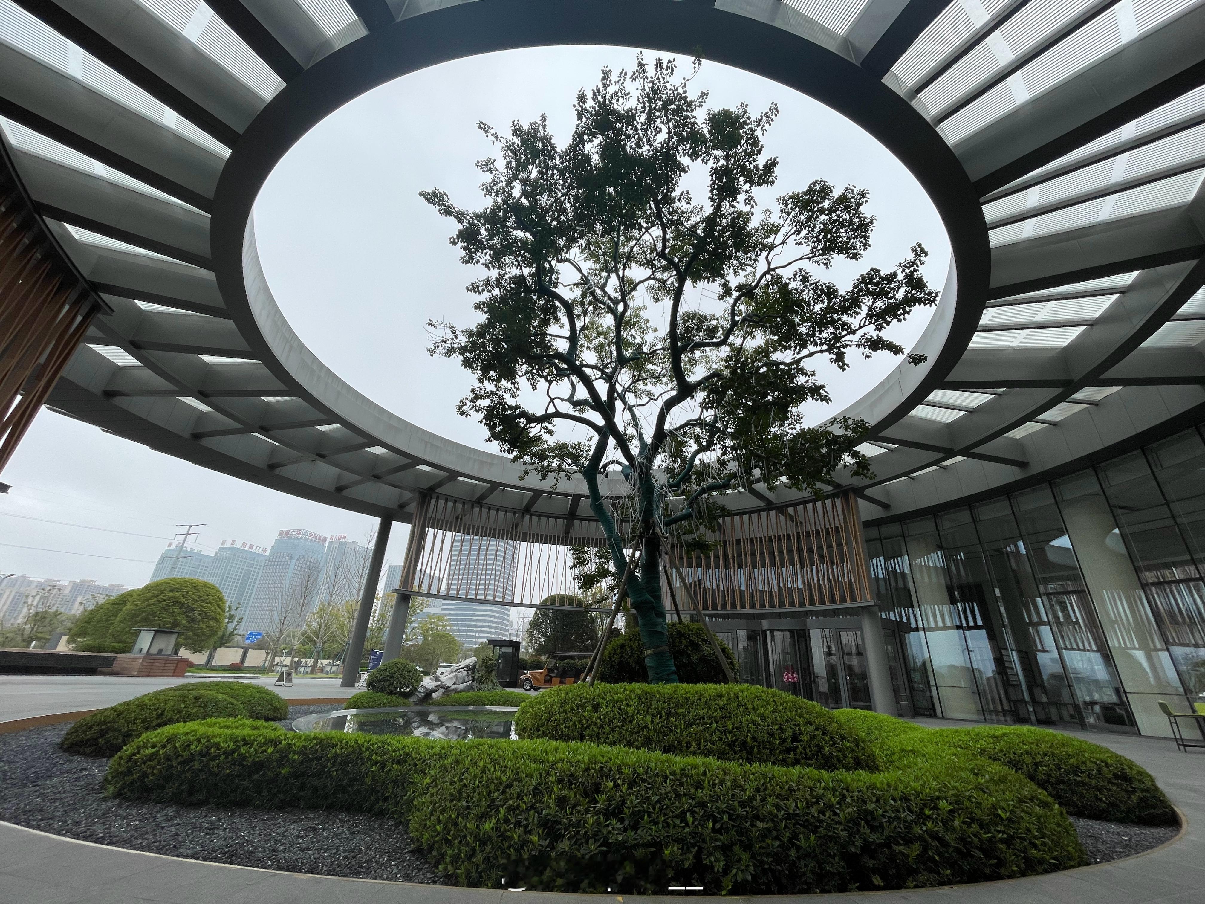 抚州希尔顿逸林这家酒店我强烈安利一下它彻底颠覆小地方办不出好酒店的老观念园林、景