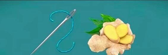 〔看图猜地名〕
谐音猜地名字好；
图中有针还有姜；
猜个江苏的城市；
就等你来把