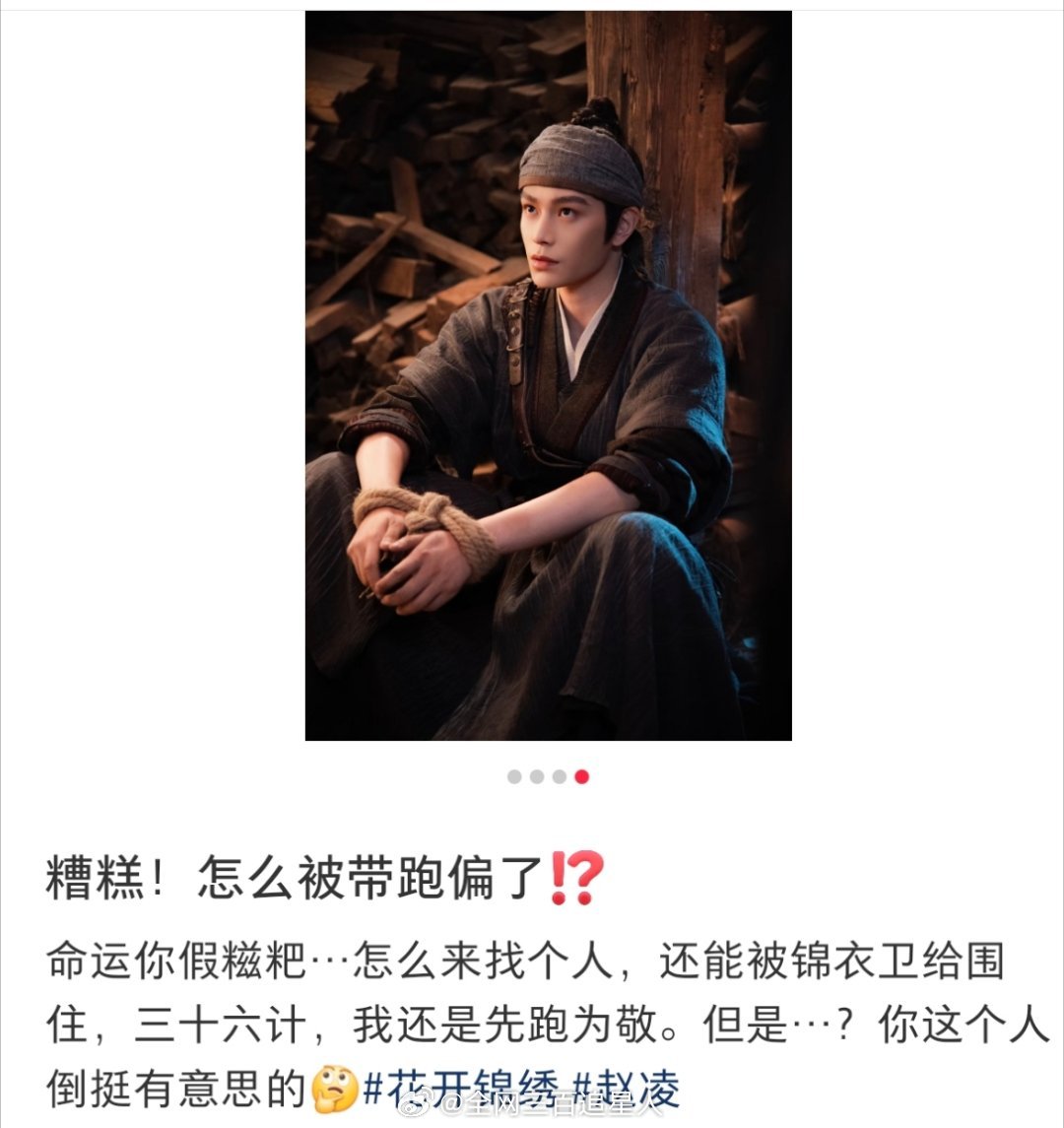 求赵凌打架获胜教程丁禹兮花开锦绣
