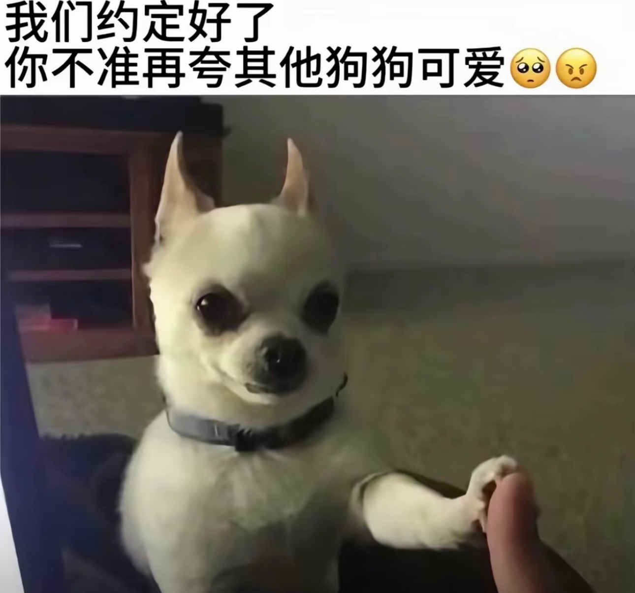 约定好了🫰🏻ฅ៸ᩙ⦁⩊<៸ᩙ ੭ﾞ 🐾 