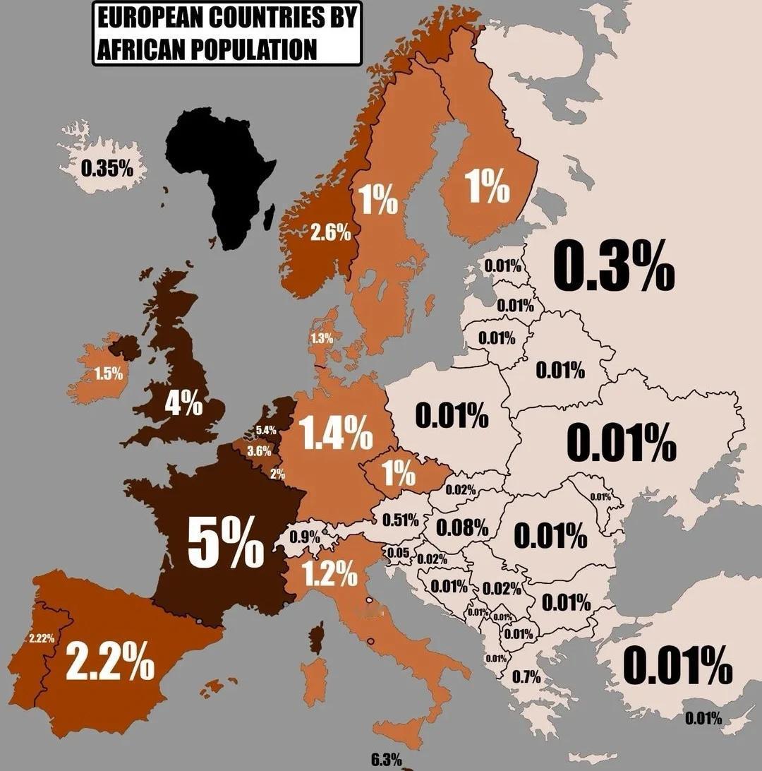 美国国家安全战略中有这样一段话：从长远来看，最迟数十年内，部分北约成员国极可能出