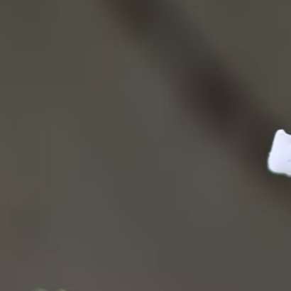 每日一善‎每日一善 树干上刚冒头的细嫩芽尖，执拗地抽出花苞，捧出一朵洁白。整棵树