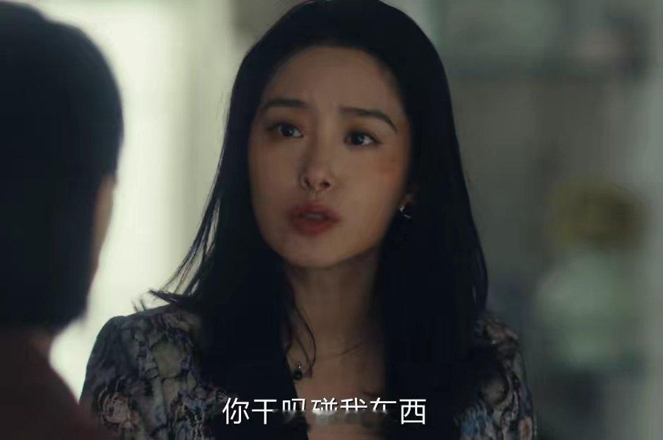 《风中的火焰》：从一出调虎离山之计，才明白刘白还试图挽留梅苇 