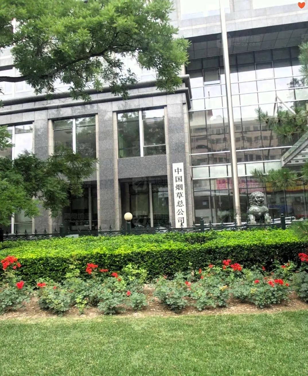 大学毕业后需要什么条件才能来这里上班