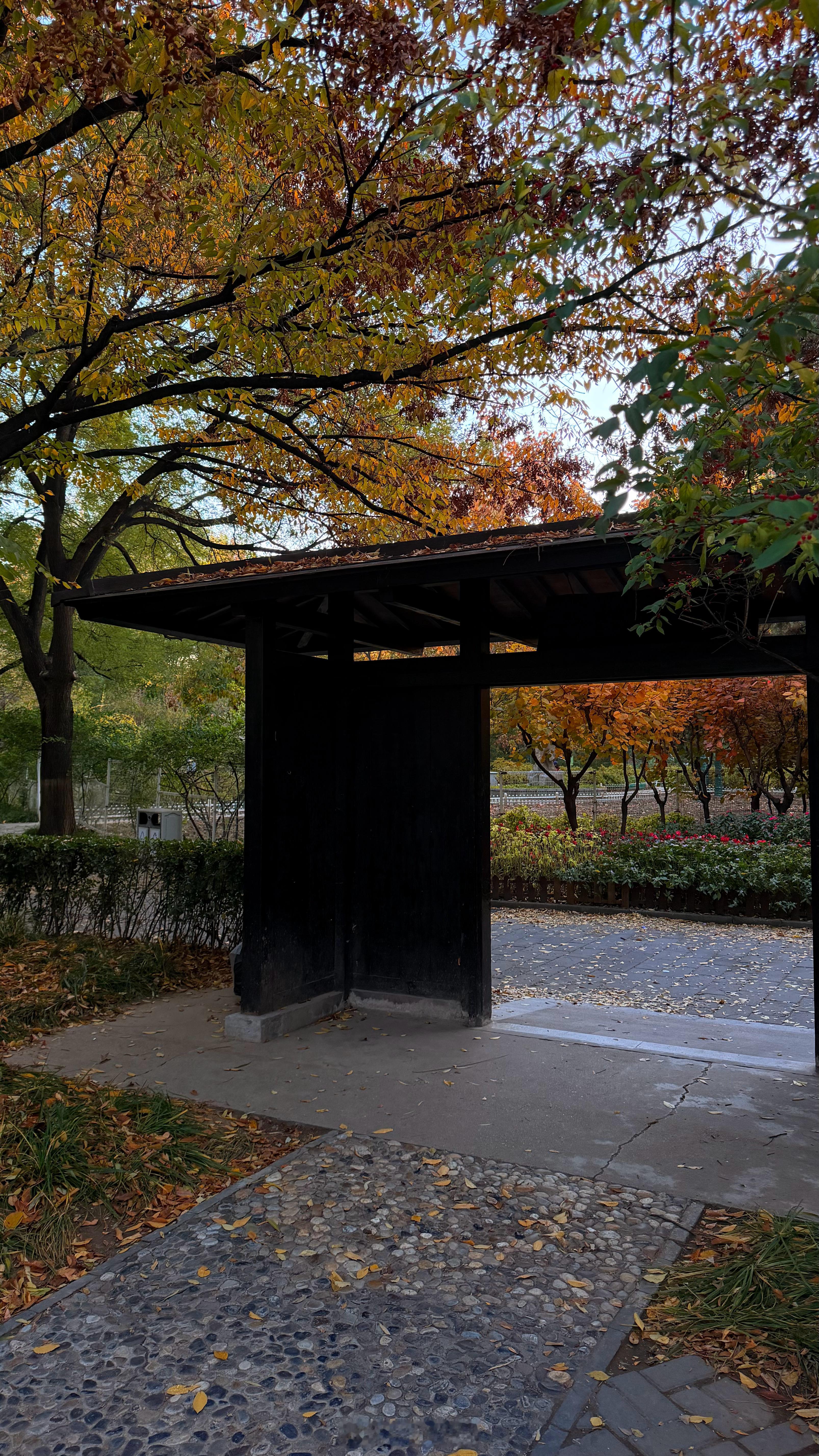 北京的公园那么多，双秀公园2毛的门票还是震撼了我一下真是好久没看到“毛”这个收费