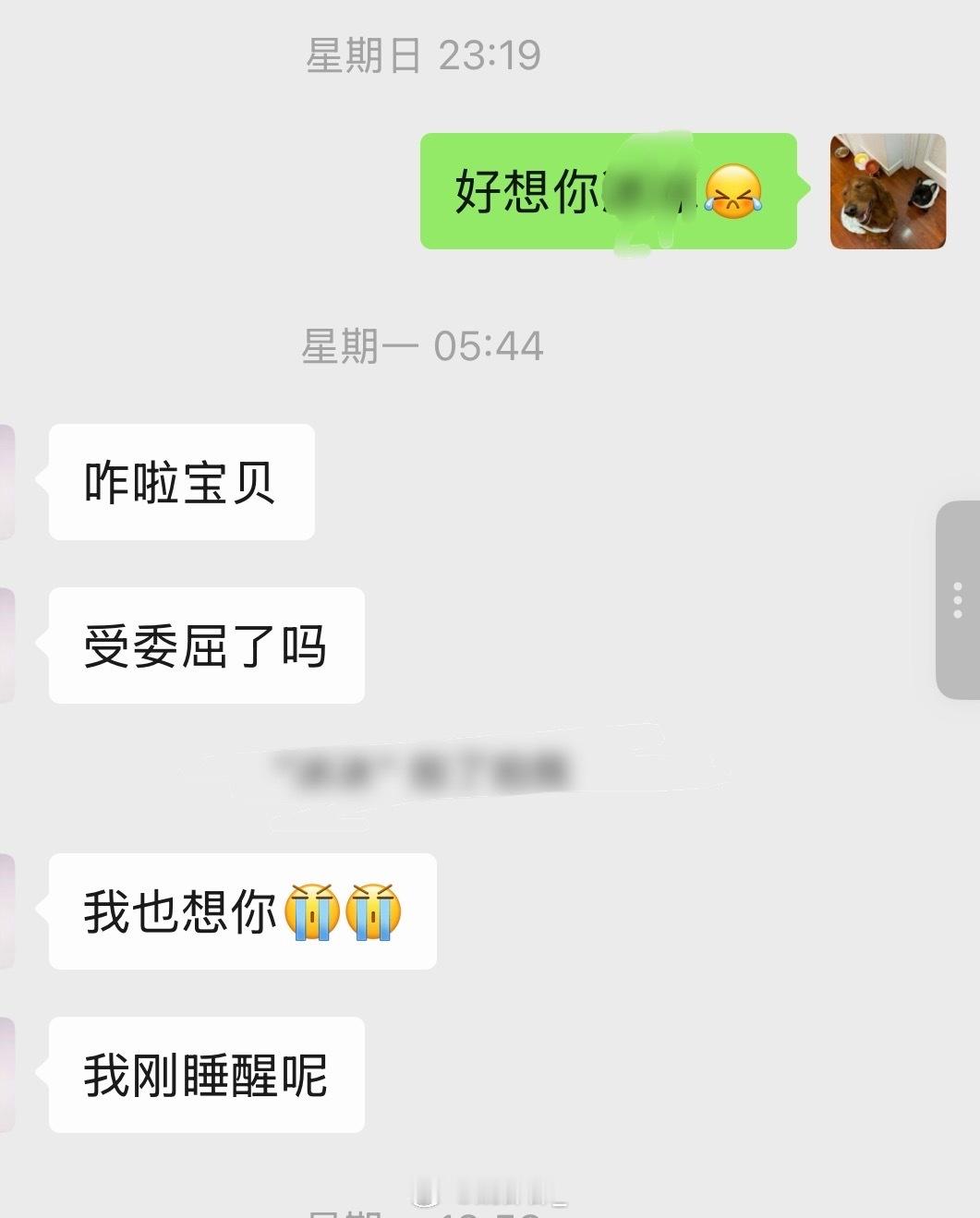 反复说出口的爱，让我没有散掉。 