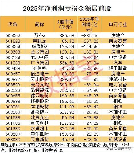 2028年净利润亏损金额居前个股！